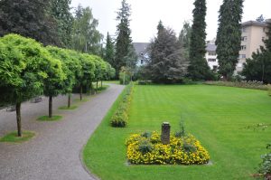 Rosenmattpark